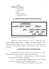 Marketingo veiklos organizavimas kavinėje  "Žemaitė" 5 puslapis