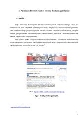 Aplinkosaugos harmonizacija Europos Sąjunga (ES) sistemoje 11 puslapis