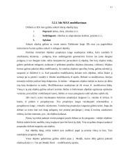 Banguojančios jūros kompiuterinis modelis 11 puslapis