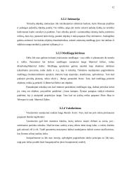 Banguojančios jūros kompiuterinis modelis 12 puslapis