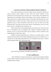 Banguojančios jūros kompiuterinis modelis 13 puslapis