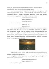 Banguojančios jūros kompiuterinis modelis 17 puslapis