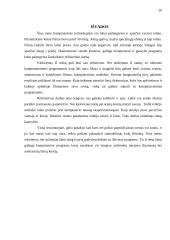 Banguojančios jūros kompiuterinis modelis 20 puslapis