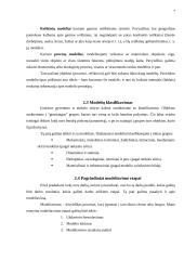 Banguojančios jūros kompiuterinis modelis 7 puslapis