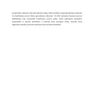 Baudžiamojo proceso stadijos 3 puslapis