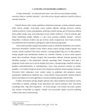 Civilinė atsakomybė, jos rūšys bei funkcijos 2 puslapis