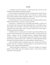 Civilinė atsakomybė, jos rūšys bei funkcijos 19 puslapis