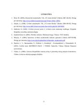 Civilinė atsakomybė, jos rūšys bei funkcijos 20 puslapis
