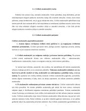 Civilinė atsakomybė, jos rūšys bei funkcijos 3 puslapis