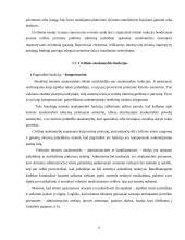 Civilinė atsakomybė, jos rūšys bei funkcijos 6 puslapis