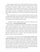 Civilinė atsakomybė, jos rūšys bei funkcijos 7 puslapis