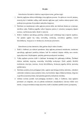 Dailė ir žaidimai - specialiųjų ugdymosi poreikių turinčių mokinių ugdymo priemonė 19 puslapis
