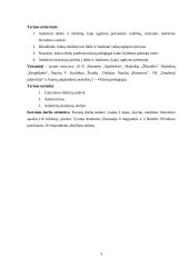 Dailė ir žaidimai - specialiųjų ugdymosi poreikių turinčių mokinių ugdymo priemonė 3 puslapis