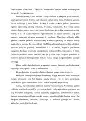 Matematikos pamoka pradžios mokykloje 12 puslapis