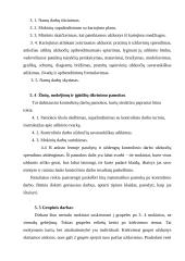 Matematikos pamoka pradžios mokykloje 10 puslapis