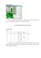Duomenų bazė: "Lėktuvų tvarkaraštis" 16 puslapis