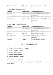 Duomenų bazė: "Lėktuvų tvarkaraštis" 9 puslapis