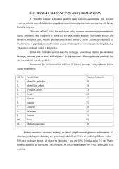 Mažų ir vidutinių įmonių vadyba: IĮ "Siuvimo salonas" 12 puslapis