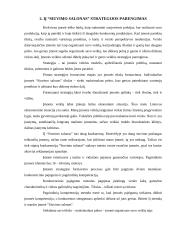 Mažų ir vidutinių įmonių vadyba: IĮ "Siuvimo salonas" 5 puslapis