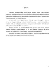 Medienos gręžimo staklės 3 puslapis