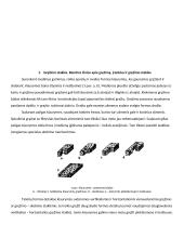 Medienos gręžimo staklės 4 puslapis