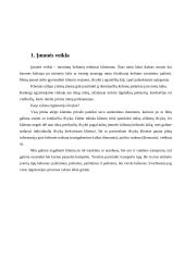 Duomenų bazių valdymas 3 puslapis