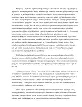 Migracijos įtaka Lietuvos finansams 12 puslapis