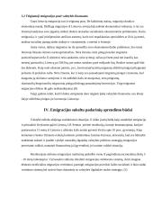 Migracijos įtaka Lietuvos finansams 13 puslapis