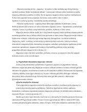 Migracijos įtaka Lietuvos finansams 5 puslapis