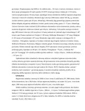 Migracijos įtaka Lietuvos finansams 6 puslapis