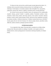 Mikro ir makroaplinkos įtaka rinkodaros sprendimams: UAB "Maxima" 13 puslapis