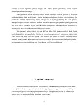 Mikro ir makroaplinkos įtaka rinkodaros sprendimams: UAB "Maxima" 16 puslapis