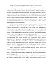 Mikro ir makroaplinkos įtaka rinkodaros sprendimams: UAB "Maxima" 17 puslapis