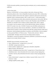 Mikro ir makroaplinkos įtaka rinkodaros sprendimams: UAB "Maxima" 7 puslapis