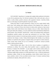 Mikro ir makroaplinkos įtaka rinkodaros sprendimams: UAB "Maxima" 9 puslapis