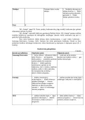 Mikroaplinkos ir makroaplinkos analizė: šaldytuvų gamykla AB "Snaigė" 13 puslapis