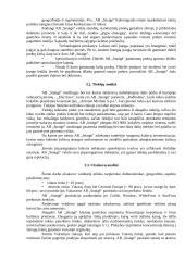 Mikroaplinkos ir makroaplinkos analizė: šaldytuvų gamykla AB "Snaigė" 15 puslapis