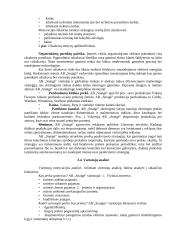 Mikroaplinkos ir makroaplinkos analizė: šaldytuvų gamykla AB "Snaigė" 17 puslapis