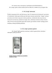 Mikroaplinkos ir makroaplinkos analizė: šaldytuvų gamykla AB "Snaigė" 5 puslapis