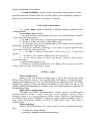 Mikroaplinkos ir makroaplinkos analizė: šaldytuvų gamykla AB "Snaigė" 7 puslapis