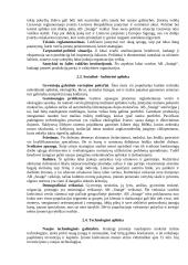 Mikroaplinkos ir makroaplinkos analizė: šaldytuvų gamykla AB "Snaigė" 10 puslapis