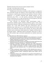 Epigenetinių mechanizmų pupų vicia faba l. Augalų chlorofilinėse morfozėse tyrimai 17 puslapis