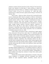 Epigenetinių mechanizmų pupų vicia faba l. Augalų chlorofilinėse morfozėse tyrimai 7 puslapis