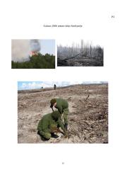 Miškų naudojimo ir apsaugos teisinis reguliavimas 20 puslapis