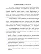 Miškų ūkio politika Lietuvos Respublikoje (LR) 4 puslapis