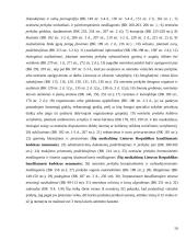 Europos arešto orderis (EAO) 10 puslapis