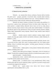 Mokesčių administravimo Lietuvoje analizė 3 puslapis