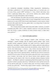 Europos Sąjungos (ES) parama žemės ūkiui 20 puslapis