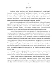 Gamybos išlaidos 2 puslapis