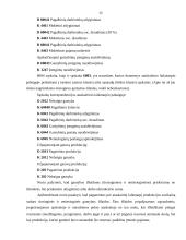 Gamybos išlaidos 11 puslapis